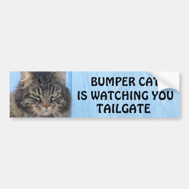 Bumper Cat is watching TAILGATE 6 meme Sticker (Front)