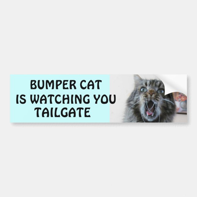Bumper Cat is watching TAILGATE 7 Bumper Sticker (Front)
