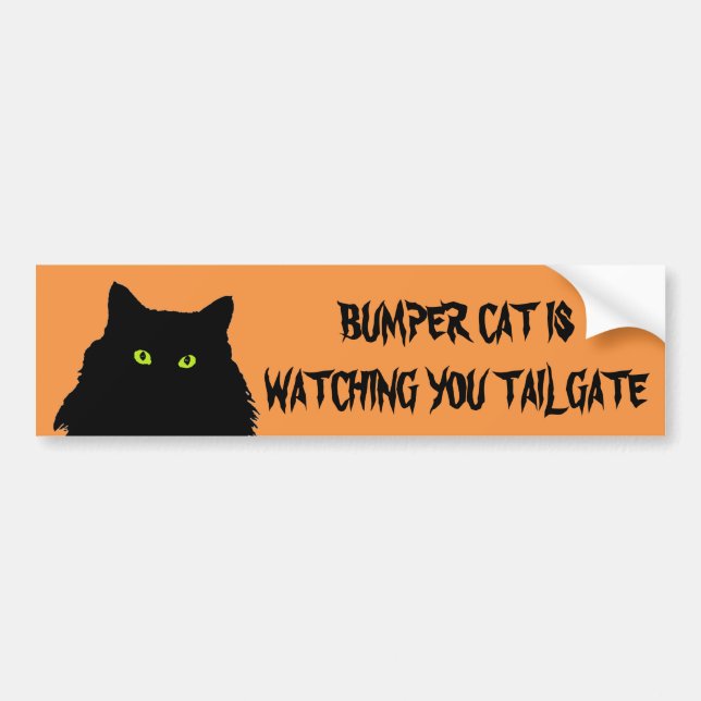 Bumper Cat is watching TAILGATE Black and Orange Sticker (Front)