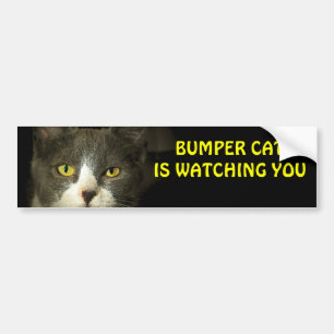Bumper Cat is watching you 3 Sticker