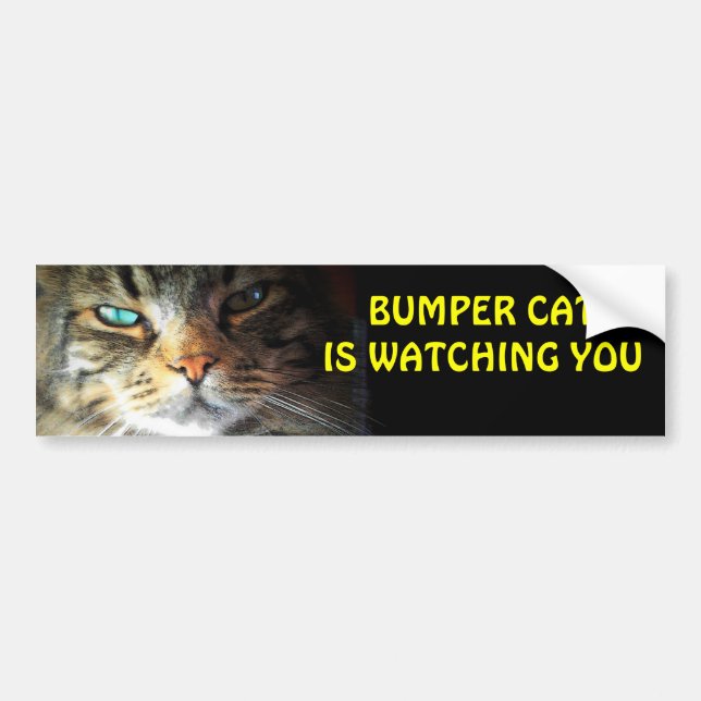 Bumper Cat is watching you 4 Bumper Sticker (Front)