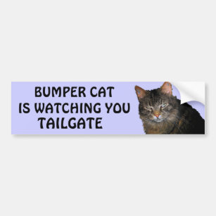Bumper Cat is watching You TAILGATE 10 Bumper Sticker