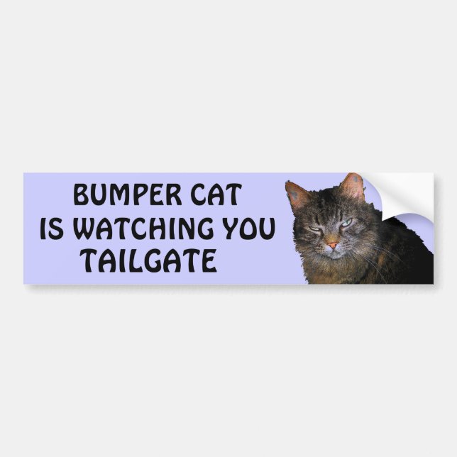 Bumper Cat is watching You TAILGATE 10 Sticker (Front)