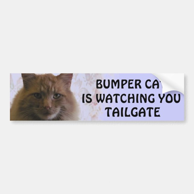Bumper Cat is watching You TAILGATE 11 Bumper Sticker (Front)