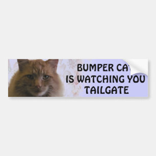 Bumper Cat is watching You TAILGATE 11 Sticker