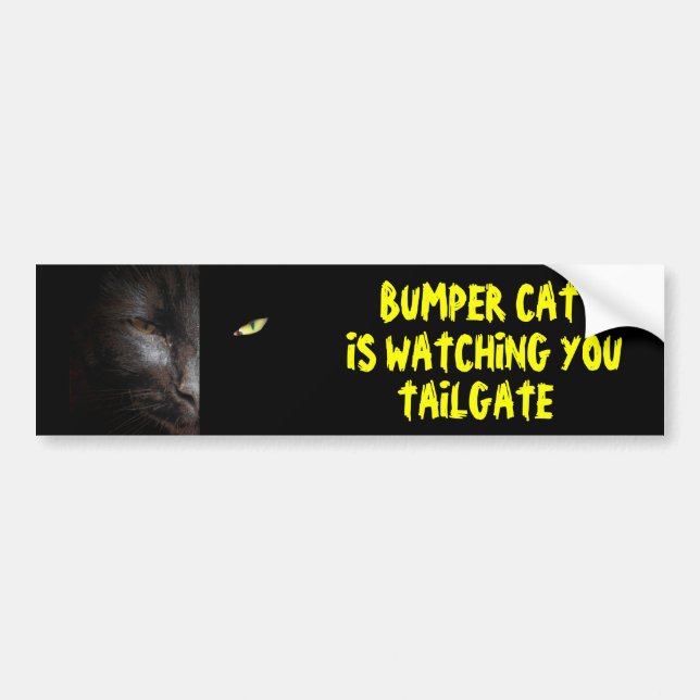 Bumper Cat is Watching You Tailgate 37 Sticker (Front)