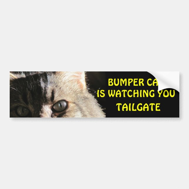 Bumper Cat is Watching You TAILGATE 5 Bumper Sticker (Front)
