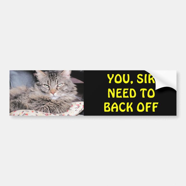 Bumper Cat Says, You Sir Need To Back Off Sticker (Front)
