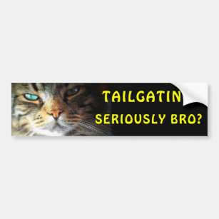 Bumper Cat: Tailgating? Seriously Bro? Meme Bumper Sticker