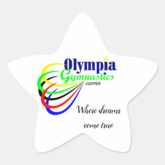 Bumper Stcker - star Star Sticker