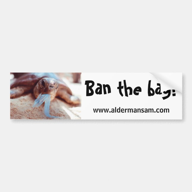 Bumper Sticker (Front)