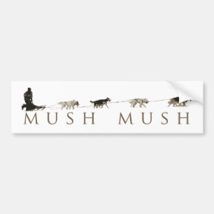 Bumper Sticker