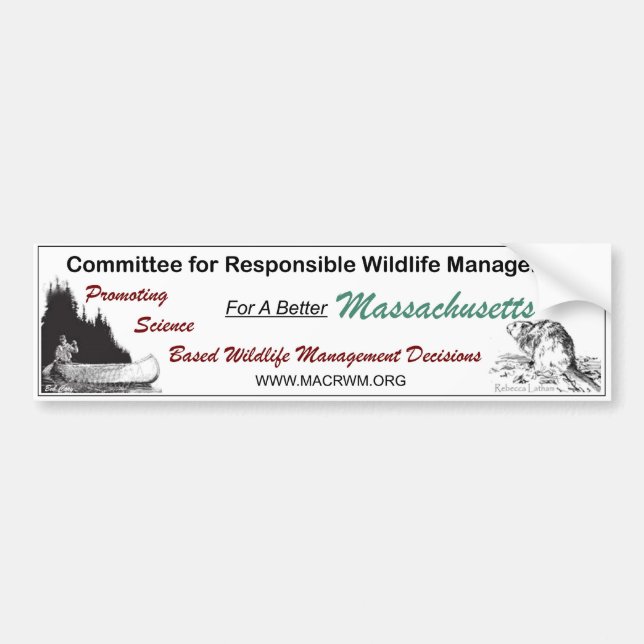 Bumper Sticker (Front)