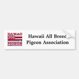 Bumper Sticker