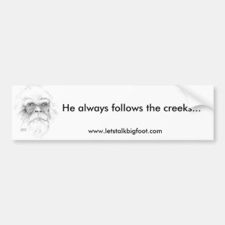 Bumper Sticker