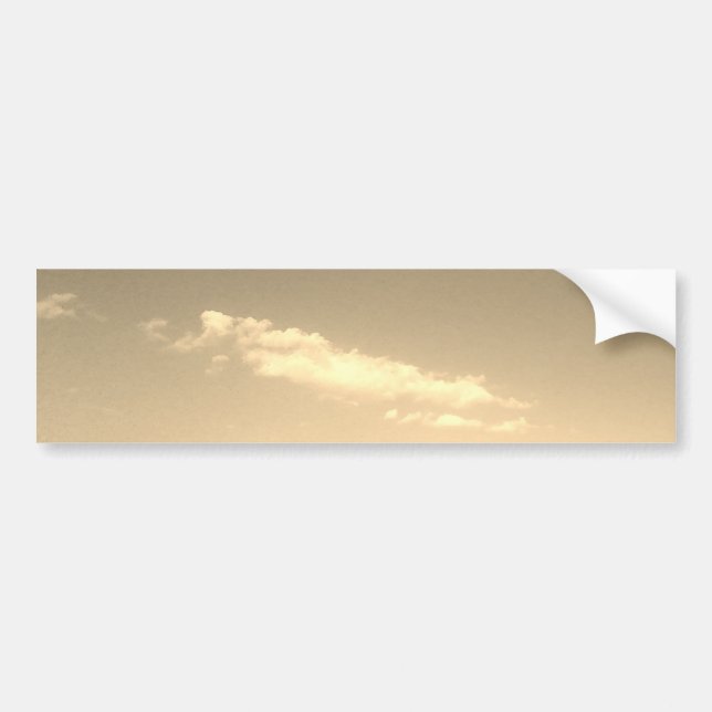 Bumper Sticker (Front)