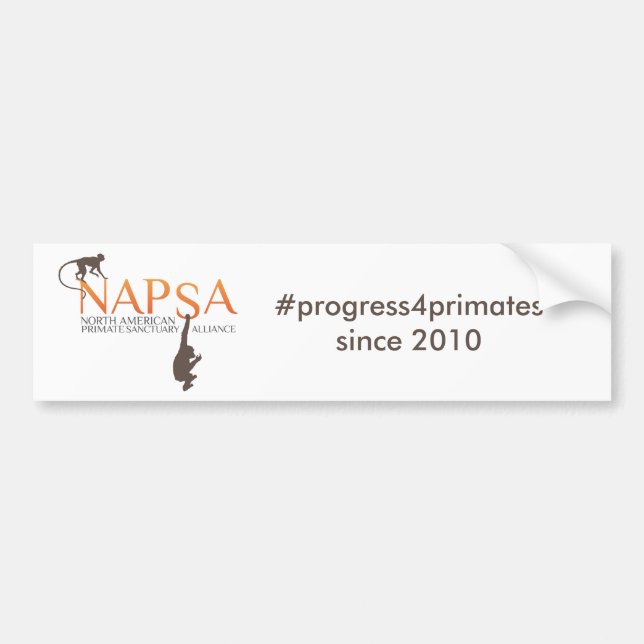 Bumper Sticker (Front)