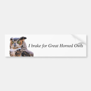 Bumper Sticker Brake for Great Horned Owls