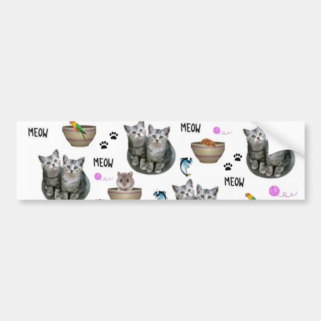 Bumper Sticker Cat Kittens Meow (Front)