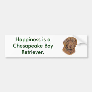 Bumper Sticker : chesapeake Bay Retriever