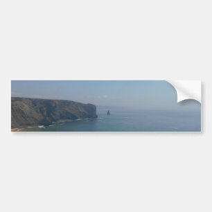 Bumper Sticker COOL ECO STYLE
