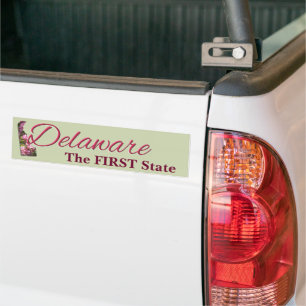 Bumper Sticker - DELAWARE