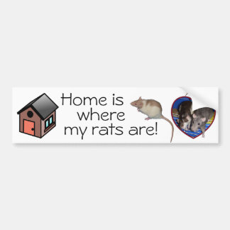 Bumper Sticker: Home is where my rats are! Sticker