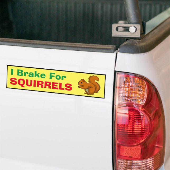 Bumper Sticker - I Brake for Squirrels  (On Truck)
