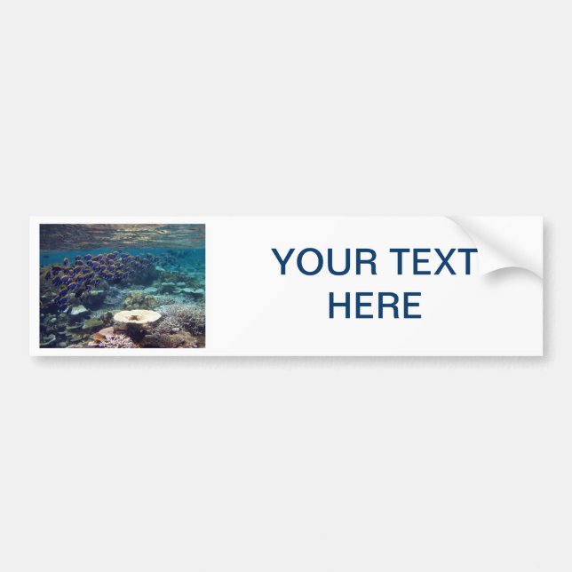 Bumper Sticker - Powder Blue Surgeon Fish (Front)