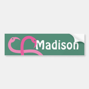 Bumper Sticker Visual Fun Madison Pink Flamingos