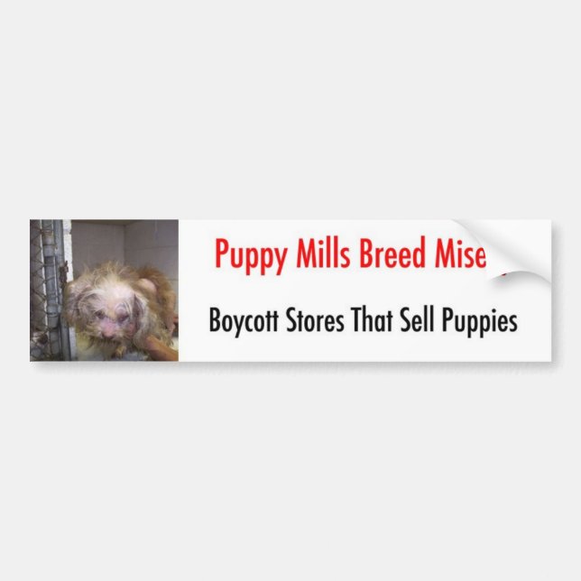 Bumpersticker Bumper Sticker (Front)