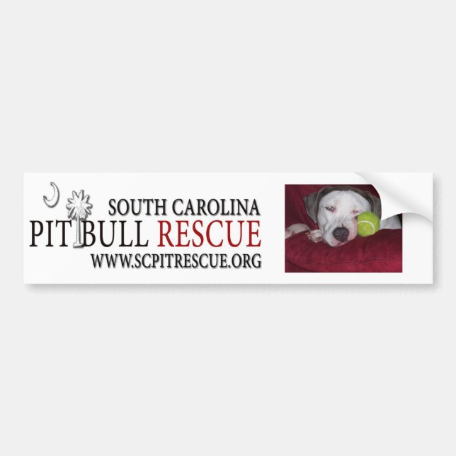 Bumpre Sticker (Front)