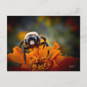 Bunble Bee Postcard