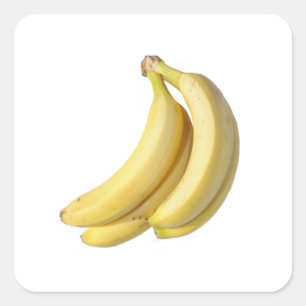 Bunch of banana's on a blank background square sticker