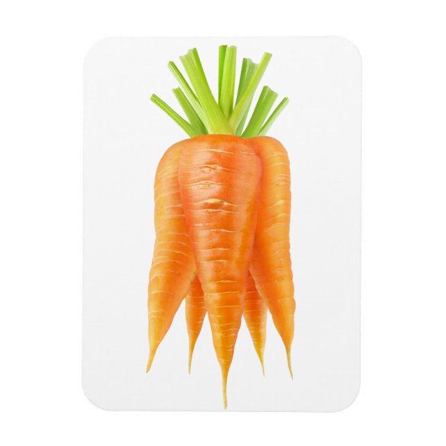 Bunch of carrots magnet (Vertical)