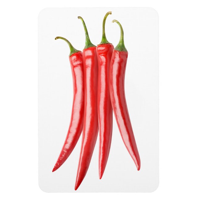 Bunch of chilli peppers magnet (Vertical)