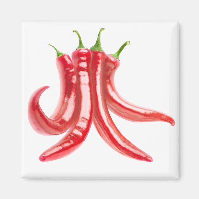 Bunch of chilli peppers magnet (Front)