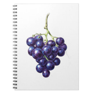 Bunch of Grapes Notebook