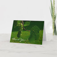 Bunch Of Grapes Thank You Note Card