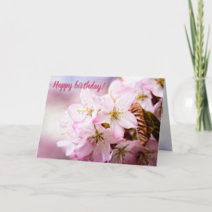 Bunch Of Pink Sakura Against The Pink Background Card