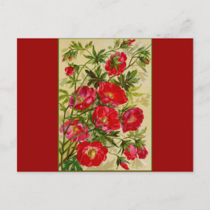 Bunch of Red Flowers Postcard