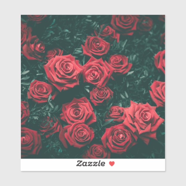 Bunch of red roses (Sheet)