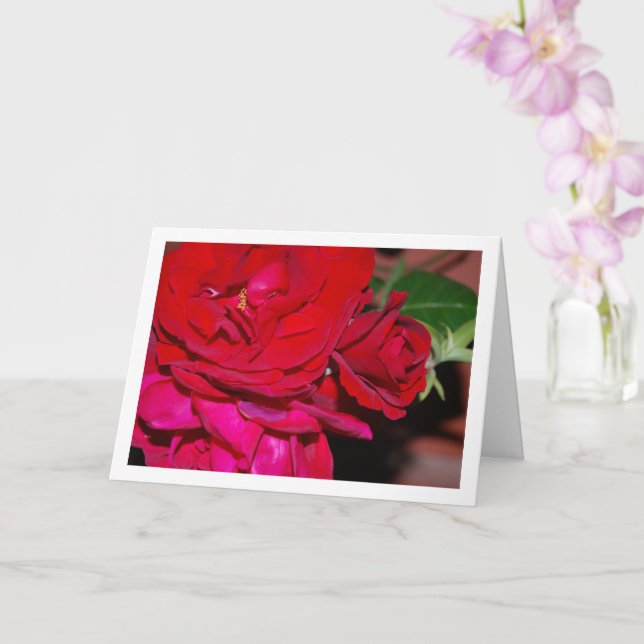 Bunch of Red Roses Card (Orchid)