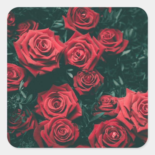 Bunch of red roses square sticker (Front)