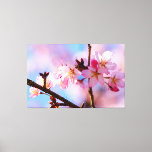 Bunch Of Sakura Flowers In A Shadow Of A Tree Canvas Print