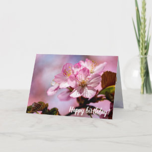 Bunch Of Stunning Sakura Flowers Of Pink Colours Card