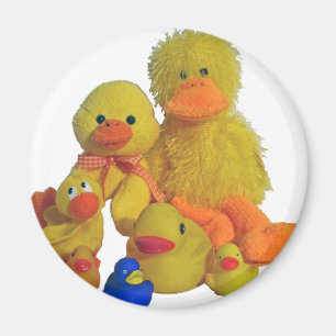 buncha ducks magnet