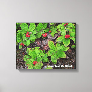 Bunchberry With Berries Canvas Print