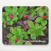 Bunchberry With Berries