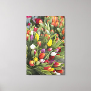Bunches of colourful tulips canvas print